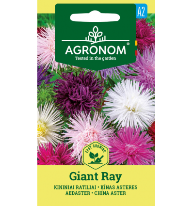 CHINA ASTER GIANT RAY MIX