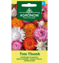 STRAWFLOWER TOM THUMB MIX