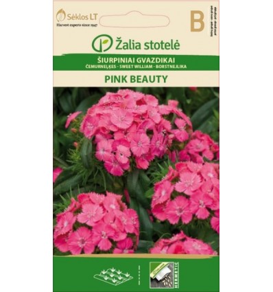 SWEET WILLIAM PINK BEAUTY