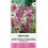 PERENNIAL SWEET PEA PINK PEARL