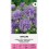 CHINA ASTER UNICUM