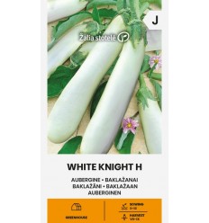 EGGPLANT WHITE KNIGHT H