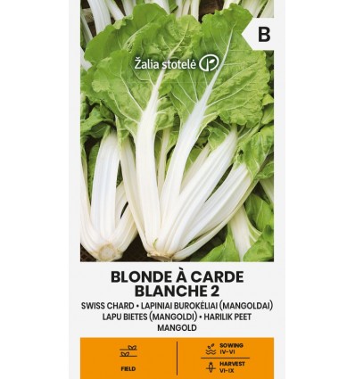 SWISS CHARD BLONDE A CARDE BLANCHE 2
