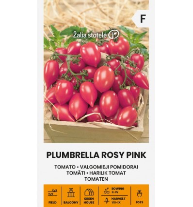 TOMATO, PLUMBRELLA ROSY PINK
