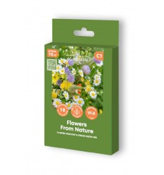 FLOWER MEADOW & GRASS SEEDS MIX FLOWERS FROM NATURE
