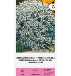 LIMONIUM TATARICUM