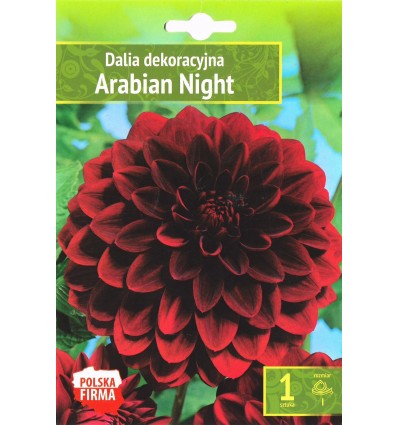 DAHLIA ARABIAN NIGHT