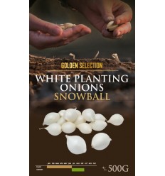 ONIONS SEEDLING SNOWBALL 14/21 0,5 KG