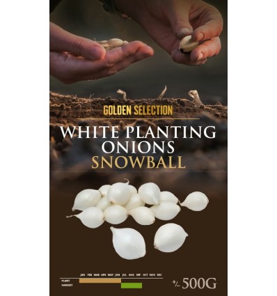 ONIONS SEEDLING SNOWBALL 14/21 0,5 KG