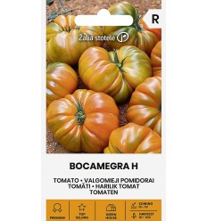 TOMATO BOCAMEGRA H