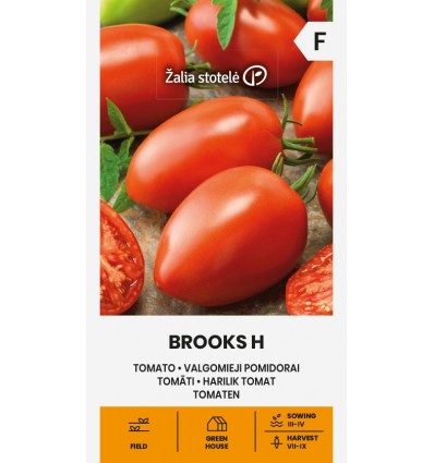 TOMATO BROOKS H