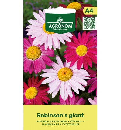 PYRETHRUM ROBINSON'S GIANT