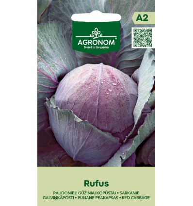 RED CABBAGE RUFUS