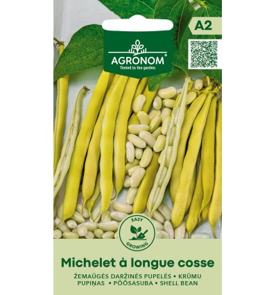 SHELL BEAN MICHELET A LONGUE COSSE