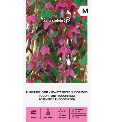 PURPLE BELL VINE