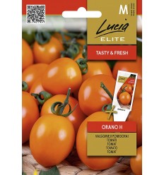 TOMATO ORANO H