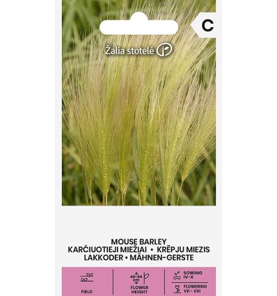 MOUSE BARLEY