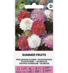 PINCUSHION FLOWER I SUMMER FRUITS