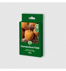 PUMPKIN CONNECTICUT FIELD 80G