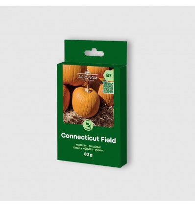 PUMPKIN CONNECTICUT FIELD 80G