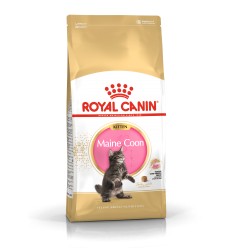 ROYAL CANIN FBN 2KG KITTEN MAINE COON FOR KITTENS