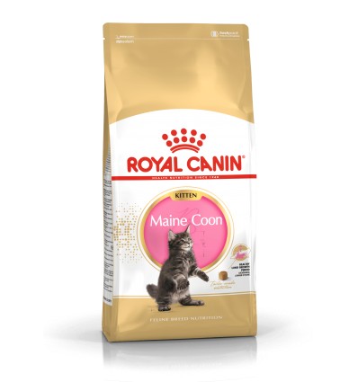 ROYAL CANIN FBN 2KG KITTEN MAINE COON FOR KITTENS