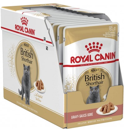 ROYAL CANIN FBN WET 85Gx12 BRITISH SHORTHAIR KATĖMS