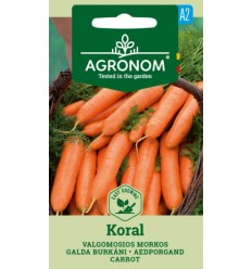 CARROT KORAL