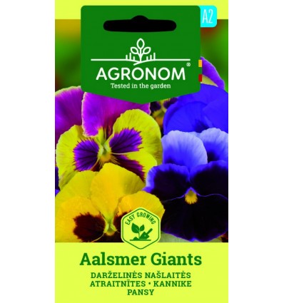 PANSY AALSMER GIANTS