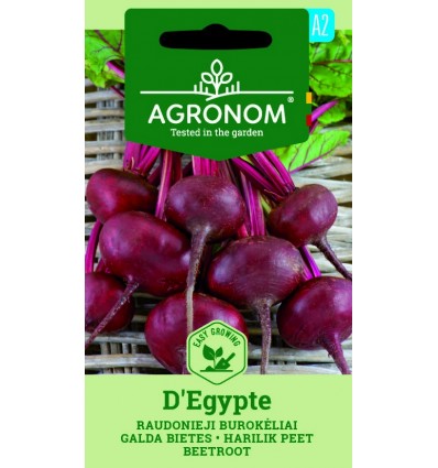 BEETROOT D'ÉGYPTE