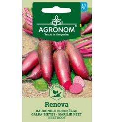 BEETROOT RENOVA