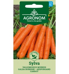 CARROT SYLVA