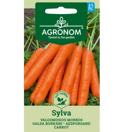 CARROT SYLVA