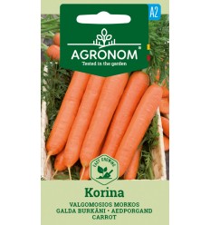 CARROT KORINA