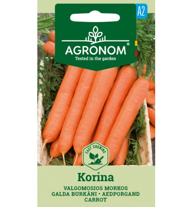 CARROT KORINA