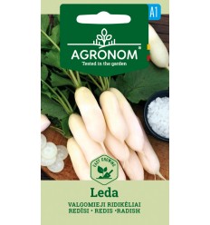 RADISH LEDA