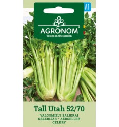 CELERY TALL UTAH 52/70