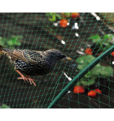 TINKLAS NUO PAUKŠČIŲ 2X10M