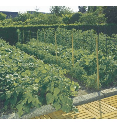 PLANT TRELLIS NETTING 2X10M