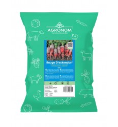 FODDER BEET ROUGE D'ECKENDORF 0,5 KG