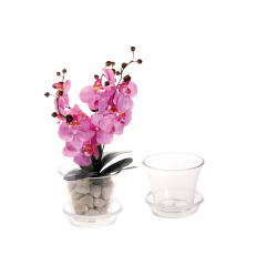 ORCHID FLOWER POT WITH BASE 195432 15CM
