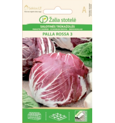 ITALIAN CHICORY PALLA ROSSA 3