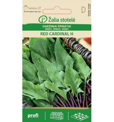 SPINACH, RED CARDINAL